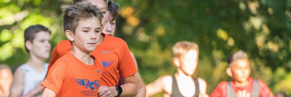 Cross country meet